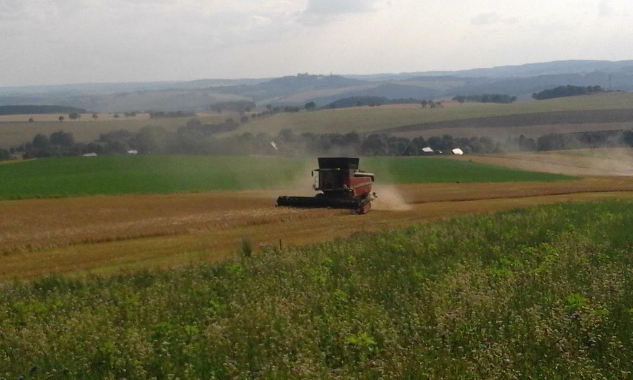 Seidelsferienparadiesgahlenz Bagian luar foto